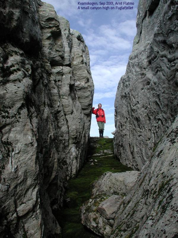 努尔黑姆松Hardanger Feriesenter Sjusete别墅 外观 照片